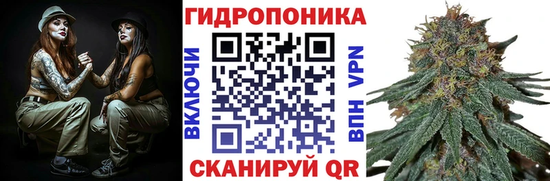 Марихуана планчик  сайты даркнета наркотические препараты  Печоры  МЕГА зеркало 